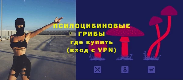 apvp Балахна