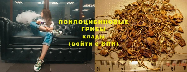apvp Балахна