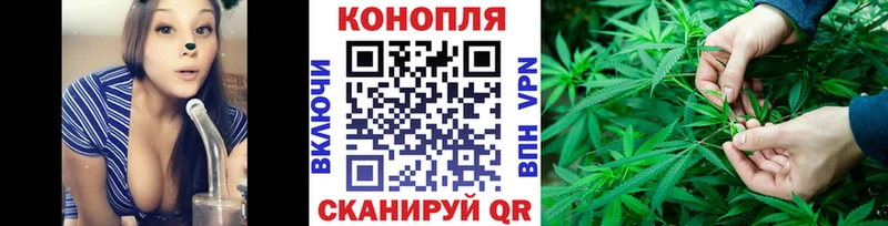 darknet наркотические препараты  Буинск  Шишки марихуана SATIVA & INDICA  купить закладку 